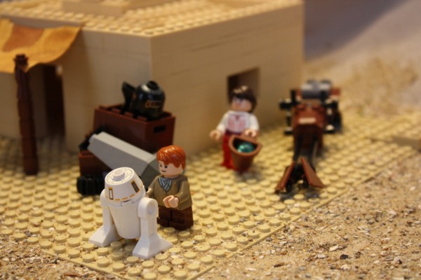 IMG_2650 (600 x 400).jpg