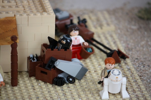 IMG_2657 (600 x 400).jpg