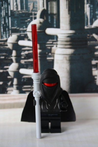 IMG_2580 (400 x 600).jpg