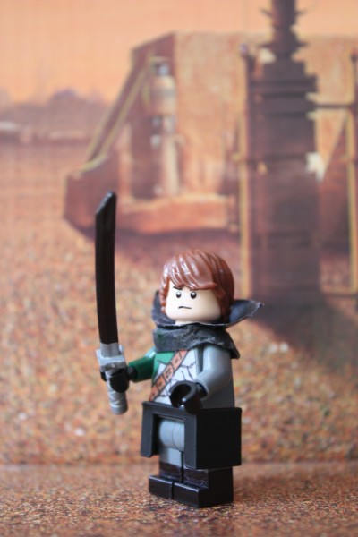 IMG_2642 (400 x 600).jpg