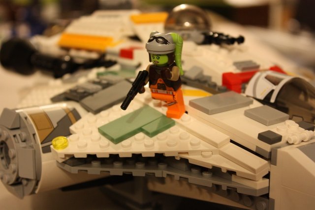 IMG_2728 (1068 x 712).jpg