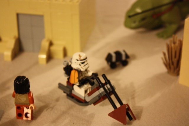 IMG_2722 (1068 x 712).jpg