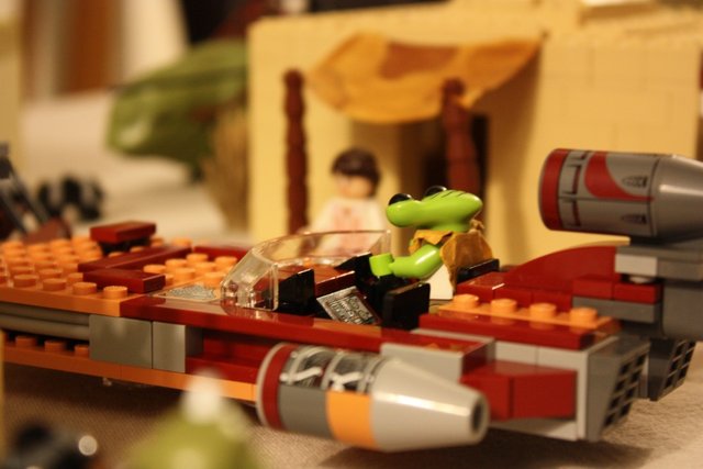 IMG_2724 (1068 x 712).jpg