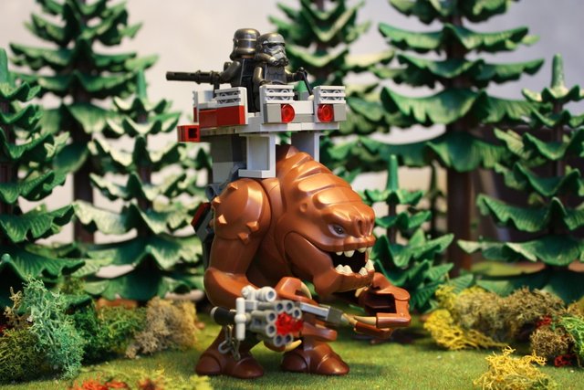 IMG_2861 (1068 x 712).jpg