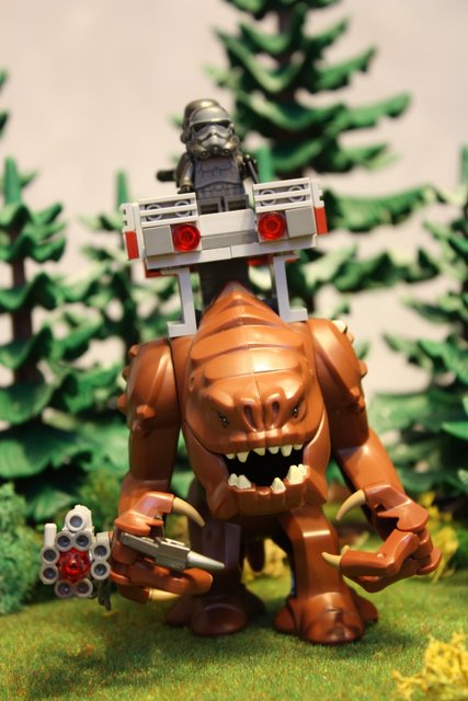 IMG_2863 (712 x 1068).jpg