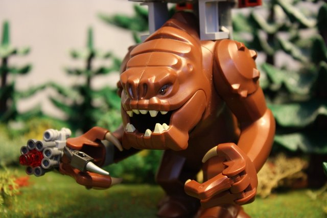 IMG_2864 (1068 x 712).jpg