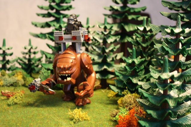 IMG_2865 (1068 x 712).jpg