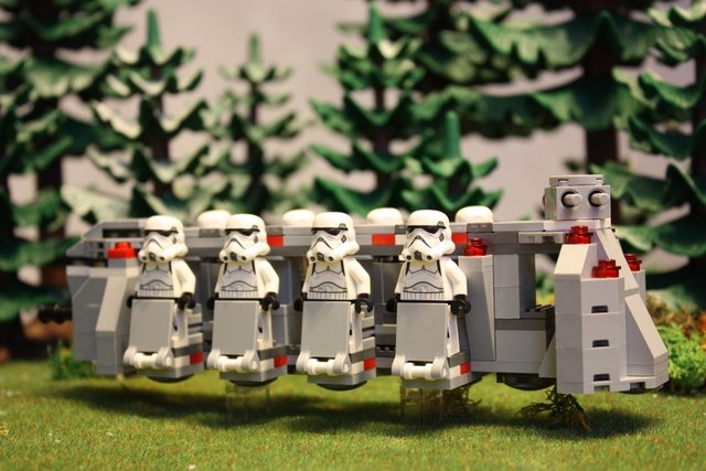 IMG_2866 (1068 x 712).jpg