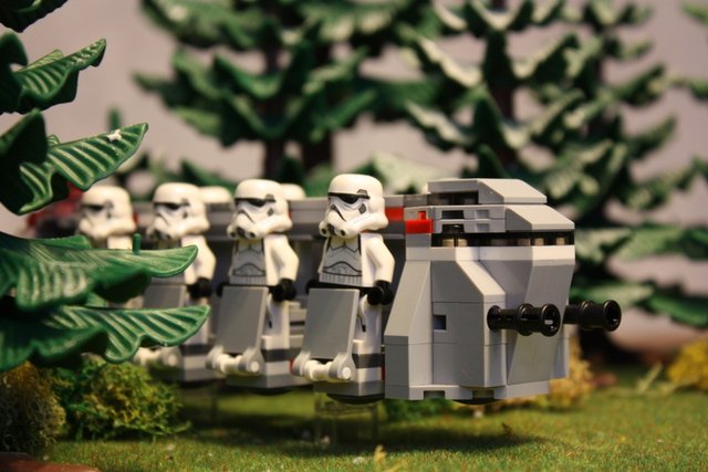 IMG_2867 (1068 x 712).jpg