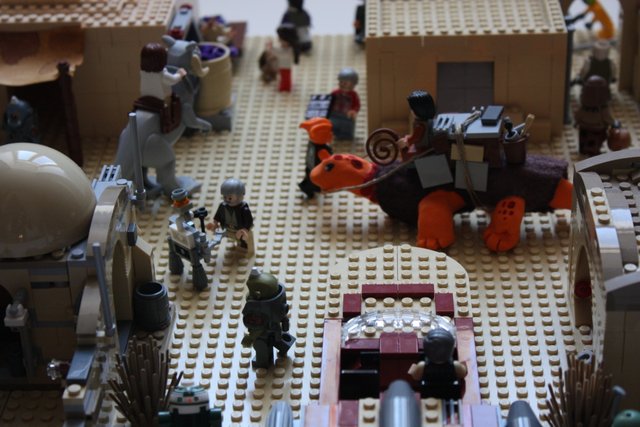 IMG_2897 (1409 x 939).jpg