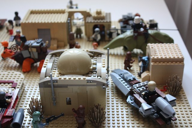 IMG_2899 (1409 x 939).jpg