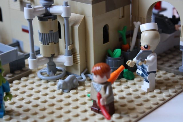 IMG_2910 (1409 x 939).jpg