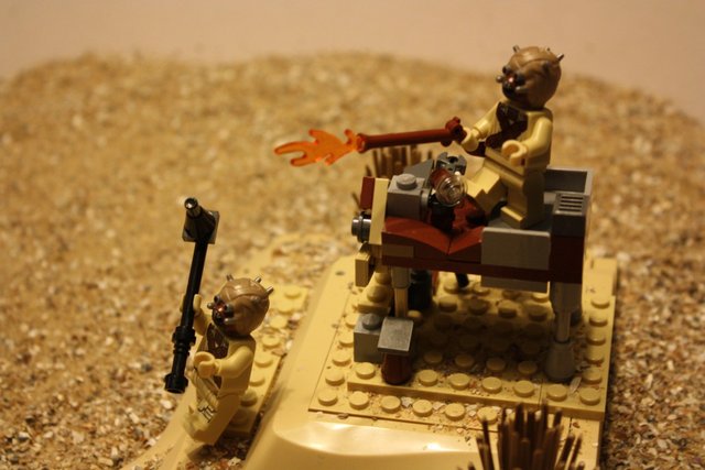 IMG_2926 (1409 x 939).jpg